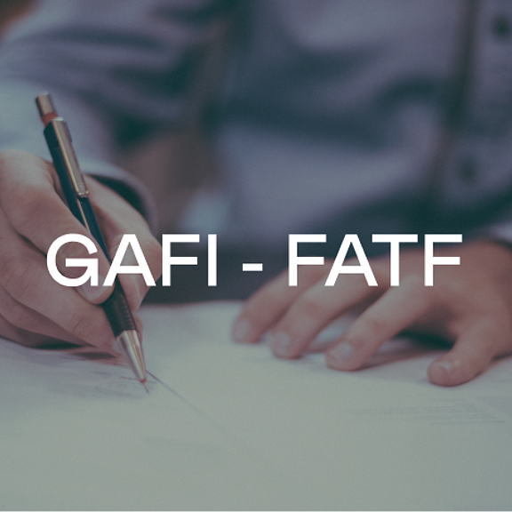FATF_GAFI Financial Action Task Force
